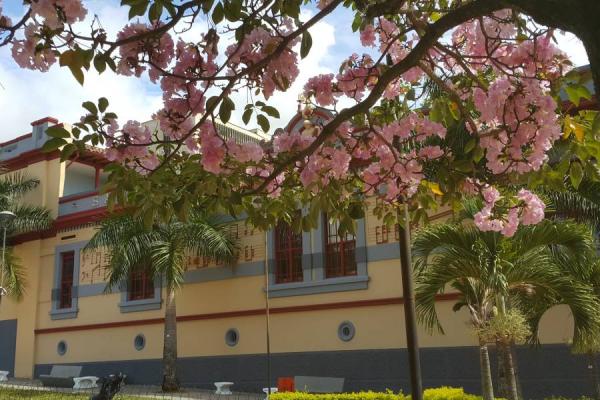 Conservatorio del Tolima - Ibagué Imaginada